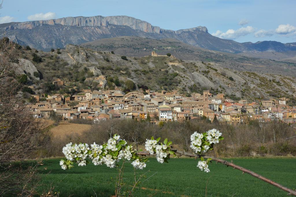 Apartamentos Turisticos Can Rocamora Арен Экстерьер фото
